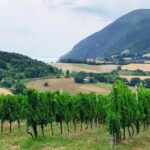 Guided E-Bike tour with food and wine tasting. - Exploring the Experience in Detail