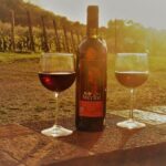 Guided E-Bike Tour with Wine Tasting from Lucca - Why This Tour Offers Great Value