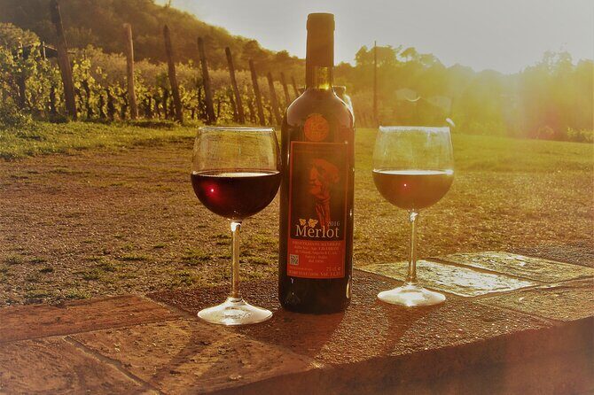 Guided E-Bike Tour with Wine Tasting from Lucca - Why This Tour Offers Great Value