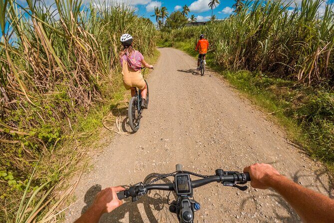 Guided E-bike Tour - Who Should Consider This Tour?