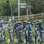 Guided Ebike Tour of Acadia National Park Carriage Roads - Who Will Love This Tour?