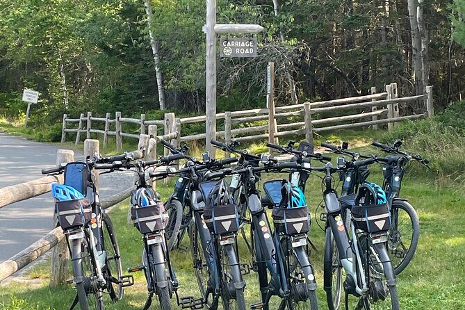 Guided Ebike Tour of Acadia National Park Carriage Roads - Who Will Love This Tour?