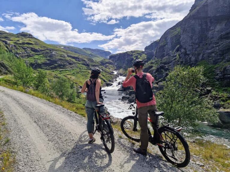 Guided, electric bicycle tour from Vatnahalsen (near Flam) - Why You Should Consider This Tour