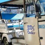 Guided Electric Piaggio Tuk-Tuk Tour of Historic Lisbon - What to Expect: Comfort, Insights, and Customization