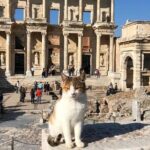 Guided Ephesus Tour From Kusadasi Cruise Port - Frequently Asked Questions