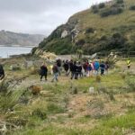 Guided Evening Penguin Viewing Otago Peninsula, Dunedin, New Zealand - FAQ