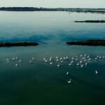Guided excursion for small groups by kayak in Valle da Pesca - Exploring the Valle da Pesca Kayak Tour in Detail
