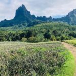 Guided Excursion in 4x4 in Moorea between Land and Sea - Authenticity and Value