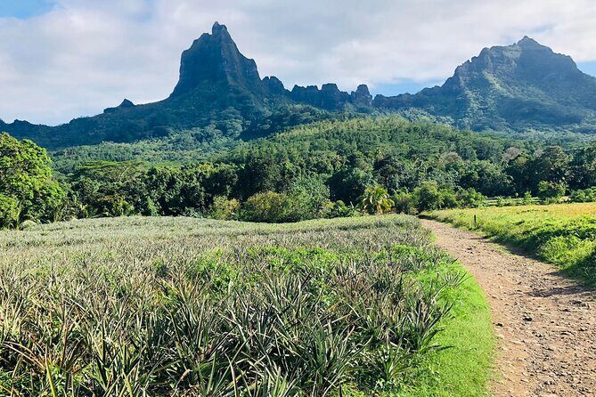 Guided Excursion in 4x4 in Moorea between Land and Sea - Authenticity and Value