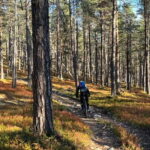 Guided Fatbike Tour in Ivalo - Who Will Love This Tour?