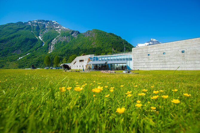 Guided Fjord & Glacier Tour - From BERGEN - Final Thoughts: Who Will Love This Tour?
