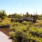 Guided Full-Day Tour to Craters of the Moon National Monument & Preserve - FAQ