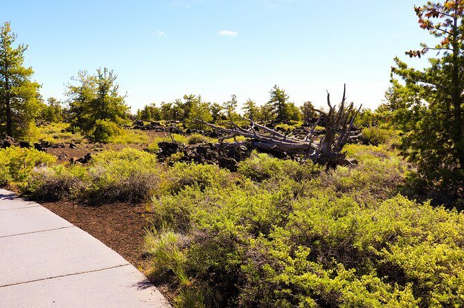 Guided Full-Day Tour to Craters of the Moon National Monument & Preserve - FAQ