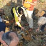 Guided Geological Excursion to Ustica - Practical Details: What You Need to Know