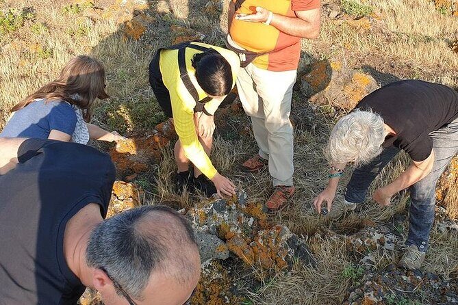 Guided Geological Excursion to Ustica - Practical Details: What You Need to Know