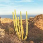 Guided Hike in Tabor Canyon - Deep Dive into the Guided Hike in Tabor Canyon