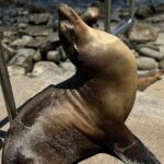 Guided Historic La Jolla Village Walking Tour - Final Thoughts: Is This Tour Worth It?