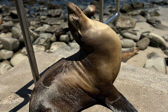 Guided Historic La Jolla Village Walking Tour - Final Thoughts: Is This Tour Worth It?