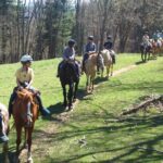Guided Horseback Ride through Flame Azalea and Fern Forest - FAQ