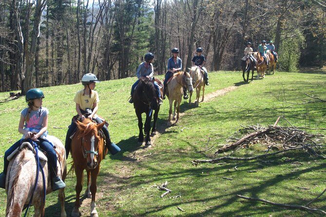 Guided Horseback Ride through Flame Azalea and Fern Forest - FAQ