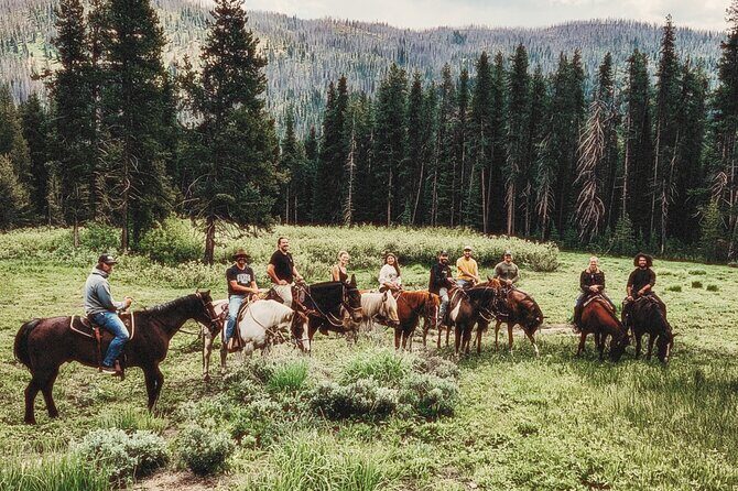 Guided Horseback Trail Rides - Why We Love This Experience
