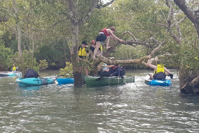 Guided Kayak Adventure Tour - Frequently Asked Questions