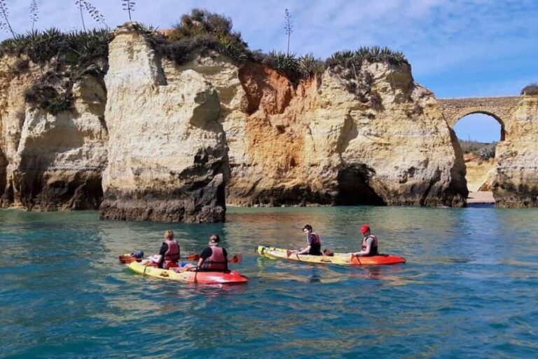 Guided Kayak Tour along the coast of Lagos - Why This Tour Offers Great Value