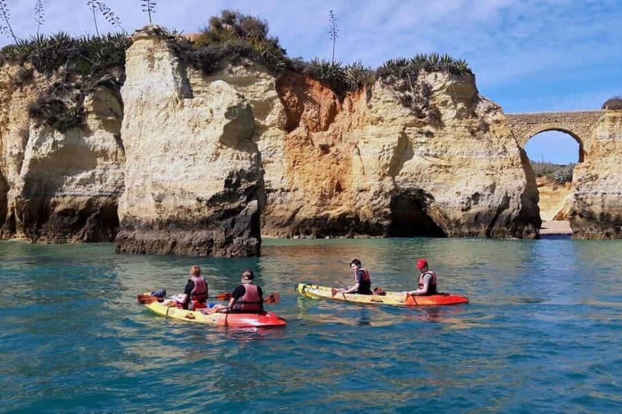 Guided Kayak Tour along the coast of Lagos - Why This Tour Offers Great Value