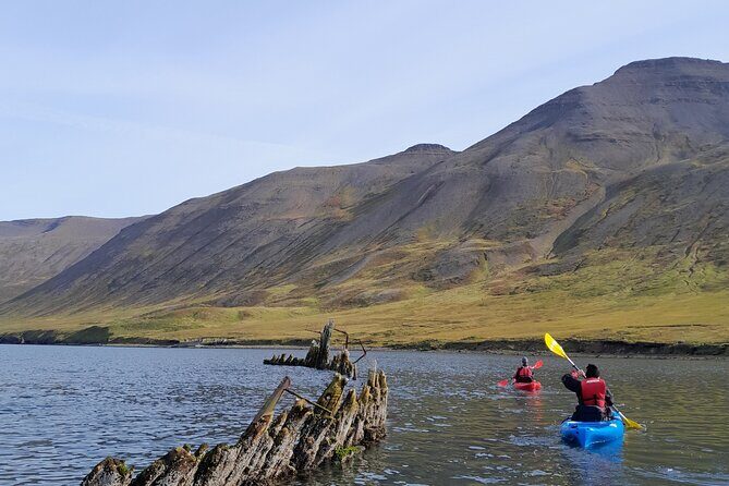 Guided kayak tour in Siglufjörður / Siglufjordur. - The Gear and Comfort