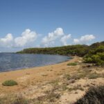 Guided kayak tour inside the Stagnone of Marsala - Practical Details and What to Expect