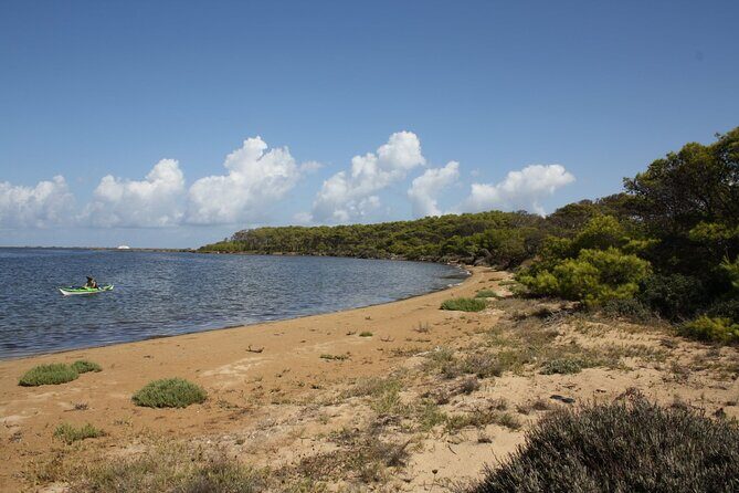 Guided kayak tour inside the Stagnone of Marsala - Practical Details and What to Expect