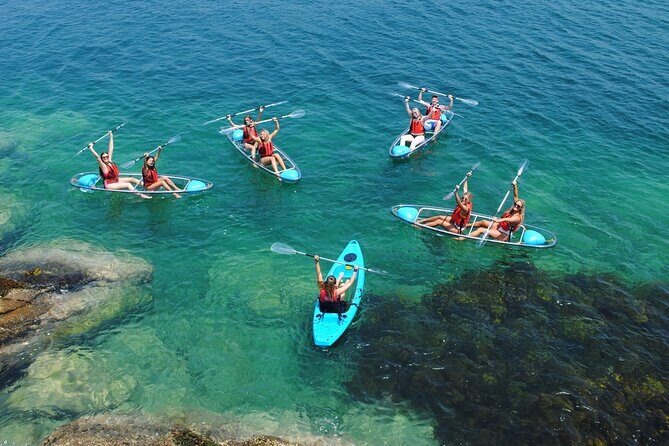 Guided Kayak Tour of Manly Cove Beaches - The Experience in Detail: What to Expect From This Kayaking Adventure