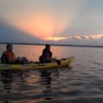 Guided Kayak Tour with Manatee & Dolphin Sightings - The Pros and Cons in Context
