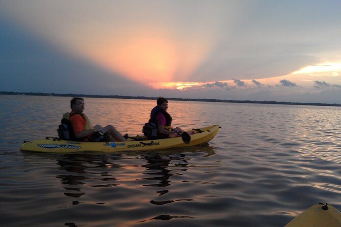 Guided Kayak Tour with Manatee & Dolphin Sightings - The Pros and Cons in Context