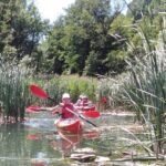 Guided Kayak trip to discover Endine Lake - A Closer Look at the Kayak Tour Experience