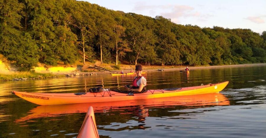 Guided kayaking on Roskilde Fjord: Private tour - An Authentic, Peaceful Way to See Roskilde Fjord
