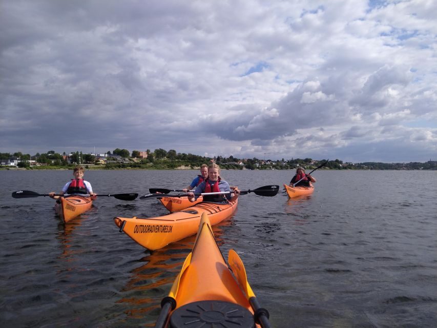 Guided kayaking on Roskilde Fjord: Sunday afternoon - The Value of This Experience