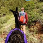 Guided Llama Hike in the Rocky Mountains - An In-Depth Look at the Guided Llama Hike Experience