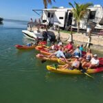 Guided Mangrove Eco Tours Kayak or Paddleboard Adventure - What to Expect on Your Eco-Tour