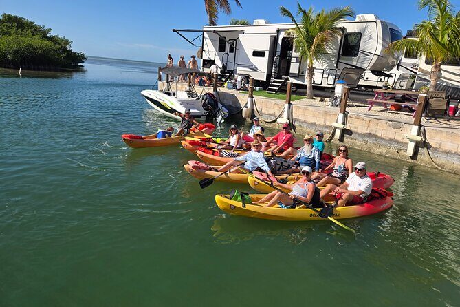 Guided Mangrove Eco Tours Kayak or Paddleboard Adventure - What to Expect on Your Eco-Tour