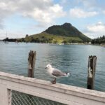 Guided Mori History and Culture Tour to Rotorua and Tauranga - Who Should Consider This Tour?