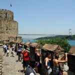 Guided Morning Cruise with Stops at Rumeli Hisar & Asian Side - Final Thoughts