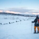 Guided Morning Snowshoe Hike with Huskies - The Value of This Tour