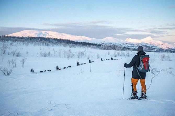 Guided Morning Snowshoe Hike with Huskies - The Value of This Tour