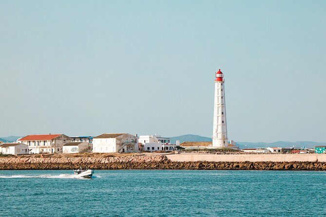Guided Nature Tour & Hop On Hop Off 3 Islands - Final Thoughts: Why Choose This Tour?