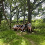 Guided Nature Tour: Pilgrims Way & Bigbury Fort - A Detailed Look at the Guided Walk in Blean Woods