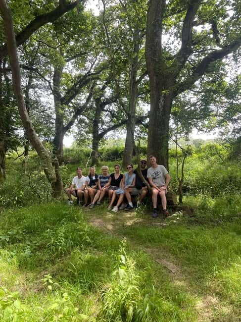Guided Nature Tour: Pilgrims Way & Bigbury Fort - A Detailed Look at the Guided Walk in Blean Woods