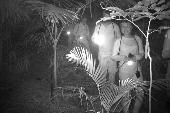 Guided Night Walk in Cape Tribulation - Who Will Love This Tour?