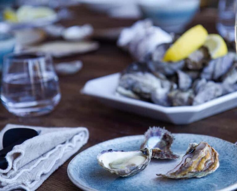 Guided Oyster Tasting - An In-Depth Look at the Guided Oyster Tasting Experience