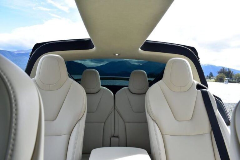 Guided Private Milford Sound Day Tour from Te Anau(Cruise In - Who Is This Tour Best For?